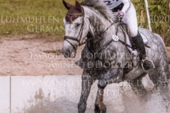 Quantum E Felicia VON BAATH