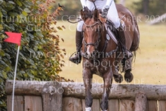 Borky du Ruisseau Sina SIEGLE