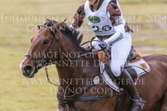 Borky du Ruisseau Sina SIEGLE