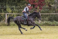 Black Ice Jerome ROBINE