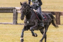 Black Ice Jerome ROBINE