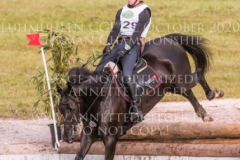 Black Ice Jerome ROBINE