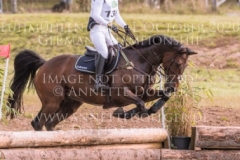 Cooley Cosmopolitan Diamond Sofia SJOBORG