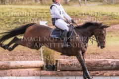 Cooley Cosmopolitan Diamond Sofia SJOBORG