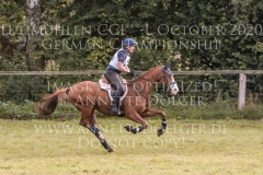 Hayvaras Bernd KNORR