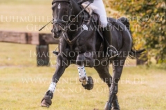 Concordia H Henriette HAGEMANN