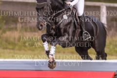 Concordia H Henriette HAGEMANN