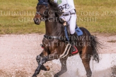 Star Connection FRH Michael JUNG