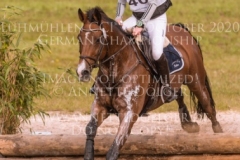 Luc M Tabea-Marie MEINERS