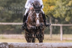 Dajara 4 Fouaad MIRZA