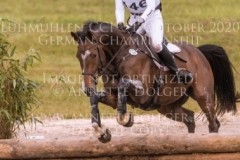 Darcy F Libussa LUEBBEKE