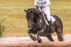 Classic Royetta Gesa STAAS