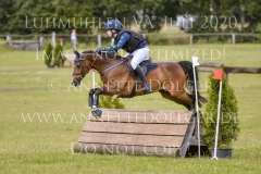 Sarasani P Vogler Ferdinand