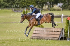 Sarasani P Vogler Ferdinand