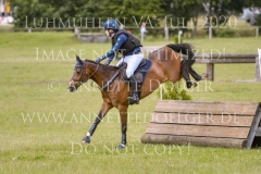 Sarasani P Vogler Ferdinand