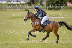 Sarasani P Vogler Ferdinand