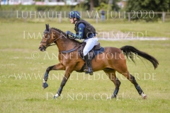 Sarasani P Vogler Ferdinand