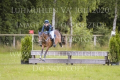 Sarasani P Vogler Ferdinand