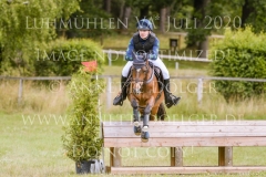 Sarasani P Vogler Ferdinand