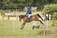 Sarasani P Vogler Ferdinand