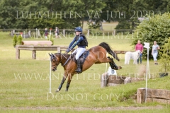 Sarasani P Vogler Ferdinand