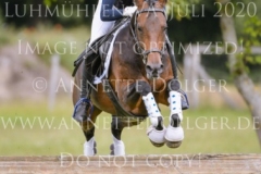 Nobody is Perfect 9 Peters Janne-Rieke