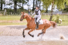 Radagast R Laabs-Ellendorff Robin