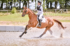 Radagast R Laabs-Ellendorff Robin