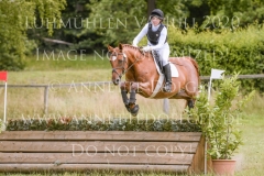 Radagast R Laabs-Ellendorff Robin