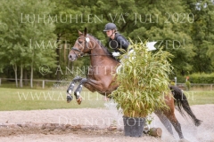 Aurelia II Steinert Caroline