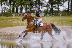 Carry me home 4 Vollbrecht Markus