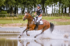 Carry me home 4 Vollbrecht Markus