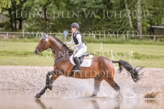 Fiedertanz Bub Sollboehmer Hanna