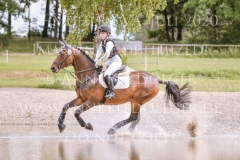 Fiedertanz Bub Sollboehmer Hanna