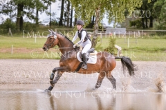 Fiedertanz Bub Sollboehmer Hanna