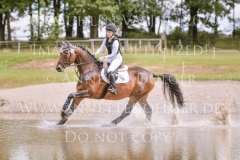 Fiedertanz Bub Sollboehmer Hanna