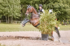 Fiedertanz Bub Sollboehmer Hanna