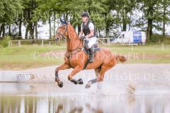 Let's dance 85 Gerlach Anton