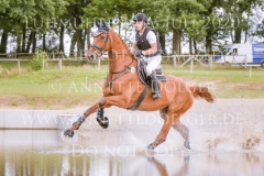 Let's dance 85 Gerlach Anton