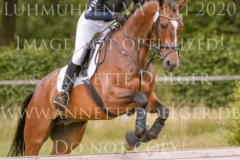 Van Helsing 20 Heuer Lilly