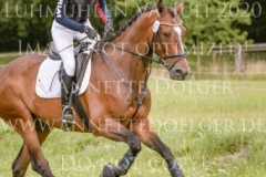 Van Helsing 20 Heuer Lilly