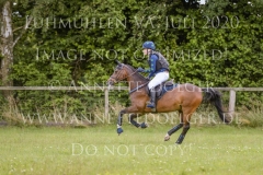 Sarasani P Vogler Ferdinand