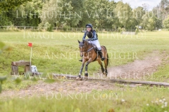 Sarasani P Vogler Ferdinand