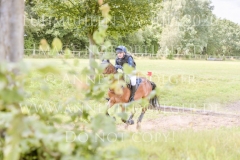 Sarasani P Vogler Ferdinand