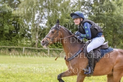 Sarasani P Vogler Ferdinand