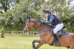 Sarasani P Vogler Ferdinand