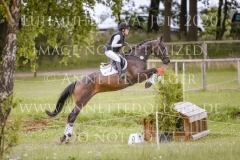 Lillet des Bois 2 Peters Janne-Rieke