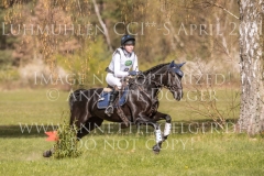 Pin Rock's Fade To Black Hedwig WIKSTROEM