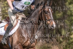 Foxfire 3 Kai RUEDER