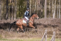 Headquarter d'Alphi Kai-Steffen MEIER